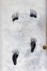 Bear paws painted on doorway, Lake Clark National Park and Preserve, Alaska Art Print